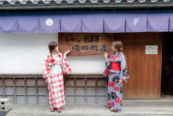 写真：散策・写真撮影の様子6