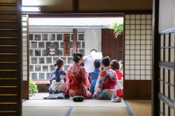 写真：散策・写真撮影の様子9