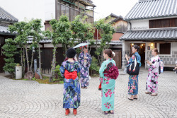 写真：散策・写真撮影の様子11