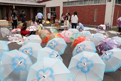 写真：並べてみると壮観です。
