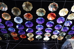 写真：展示の様子4