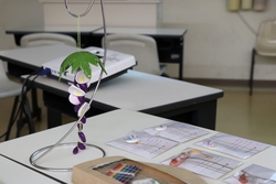 写真：学生によるアイデアのプレゼンの様子4