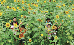 写真：子育て