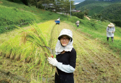 写真：就農