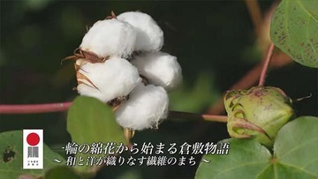 写真：一輪の綿花から始まる倉敷物語　和と洋が織りなす繊維のまち