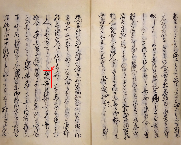 写真：資料2　嘉永三年戌六月大水記録2