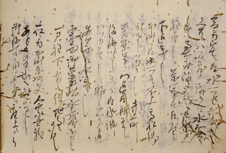 写真：資料3　嘉永三年庚戌之記3