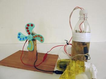 写真：木で作る燃料電池