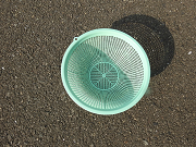 写真：プラスチックザル（緑）