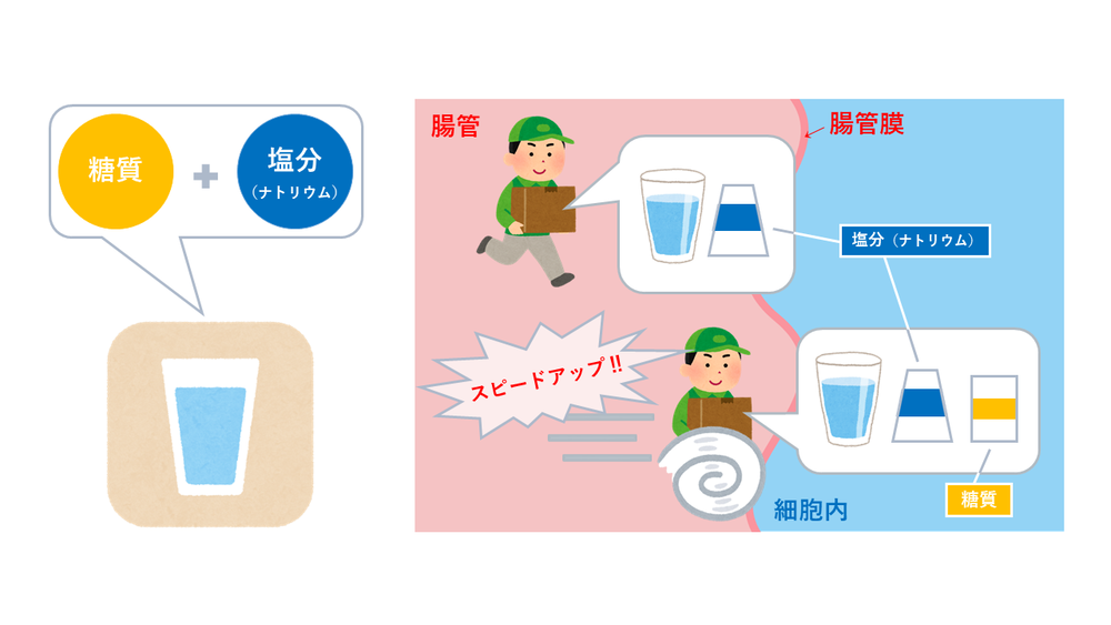 イラスト：塩分（ナトリウム）と糖分を含んだ水分補給が効率的