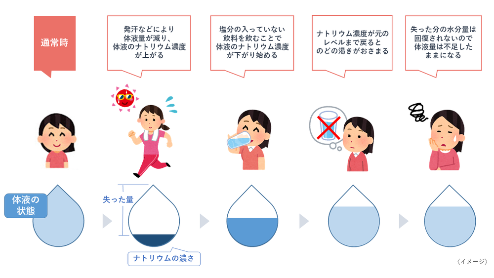 イラスト：自発的脱水