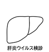 肝臓のイラスト
