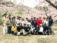 photo: Peach Blossom Viewing Party01