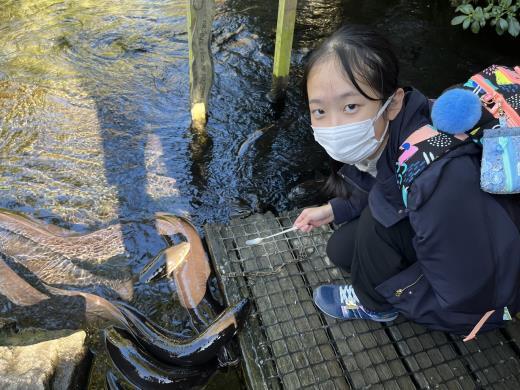 photo: Nodoka1