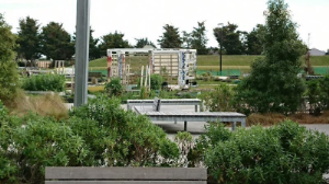 写真：交流の様子7