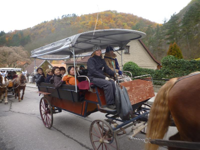 写真:カルルシュテイン城へ向かう馬車組の皆様