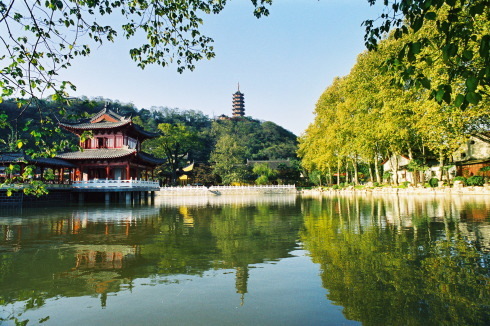 写真：焦山の秋の風景