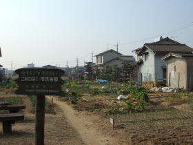 写真：市民農園風景（古新田第2）