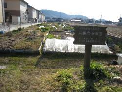 風景写真
