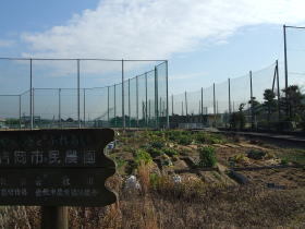 写真：市民農園風景（吉岡）