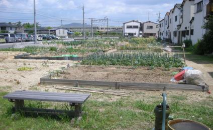 写真：市民農園風景（昭和）