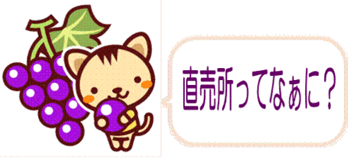イラスト：猫
