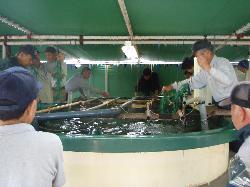 写真:作業開始