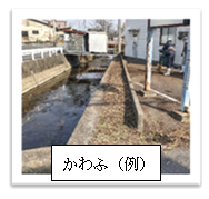 写真：かわふ