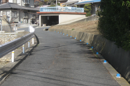 写真：視線誘導標（反射道路鋲）設置例