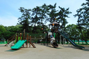 写真：大型複合遊具の近景