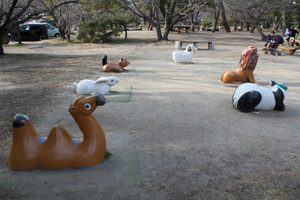 写真：アニマルペット