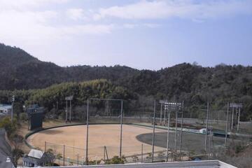 写真：外野