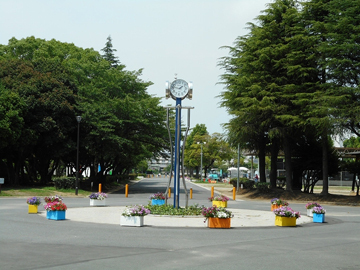 写真：時計塔