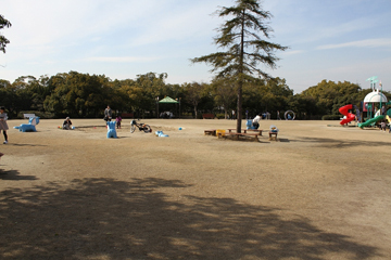写真：広々とした遊具広場