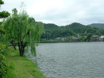 写真：池