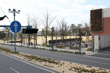写真：芝生広場全景