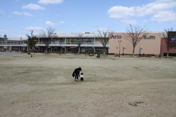 写真：芝生広場を幼児とともに散歩