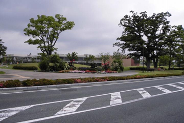 写真：花壇全景