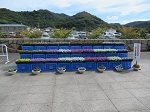 写真:花の寄せ植え展示