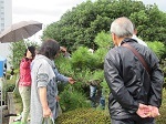 写真:庭木選定教室