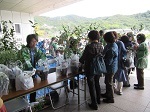 写真:苗木配布