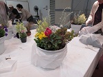 写真:寄せ植え教室