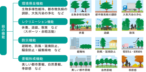 イラスト：緑の機能
