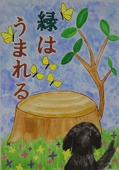 写真:佳作作品3