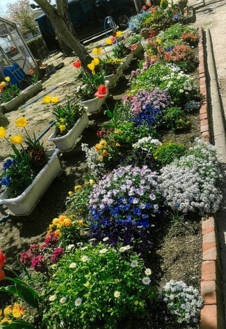 写真:その他応募作品5