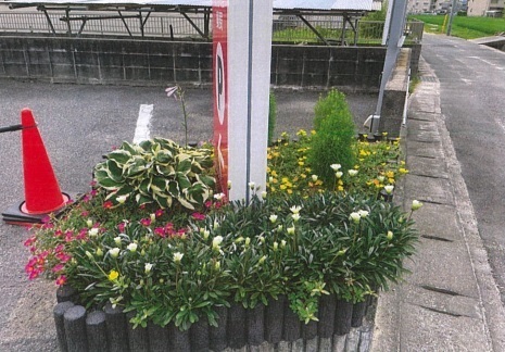 写真:その他応募作品7