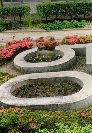 写真:その他応募作品9