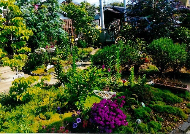 写真:最優秀賞作品