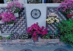 写真:その他応募作品3