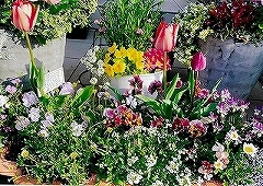 写真:その他応募作品4